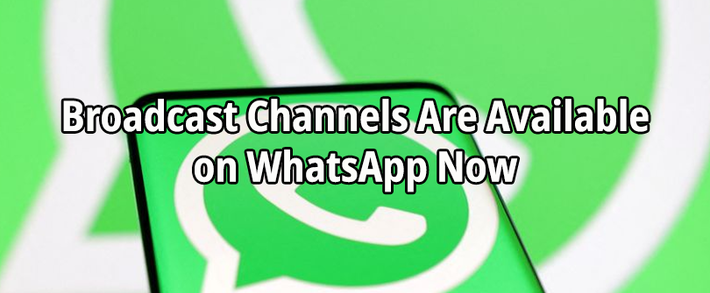 Broadcast Channels Are Available on WhatsApp Now
