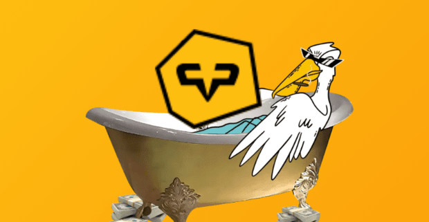 Pelican Partners Review: Everything You Need to Know About Their Affiliate Program and Opportunities