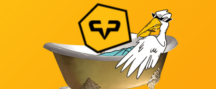 Pelican Partners Review: Everything You Need to Know About Their Affiliate Program and Opportunities