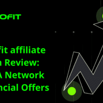 PDL Profit affiliate program Review: Best CPA Network for Financial Offers