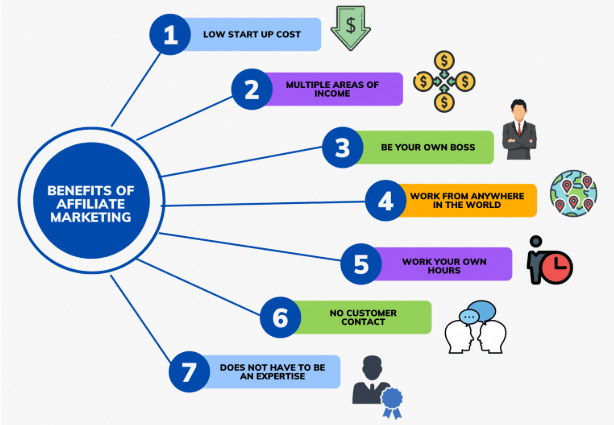 Newbie Affiliate Marketing Guide