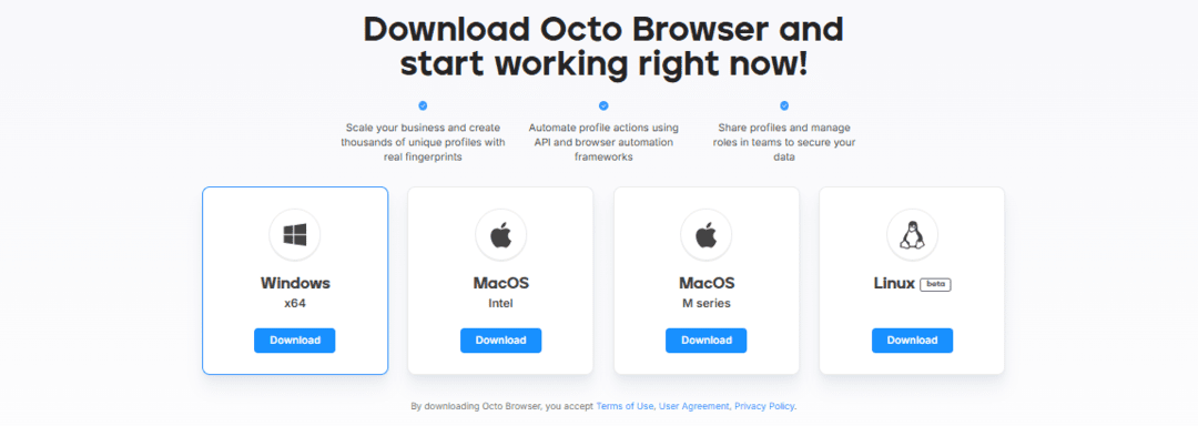 Octo Browser Review: Multi-Accounting and Anonymous Browsing