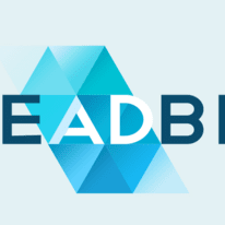Leadbit Review: Top CPA Affiliate Networks