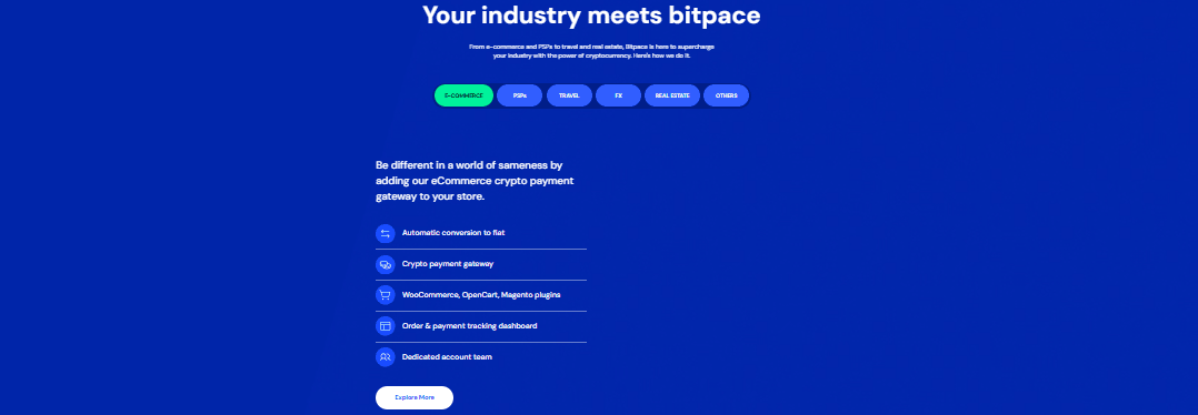 Bitpace Review: Simplify Global Transactions with Crypto Payment Solutions