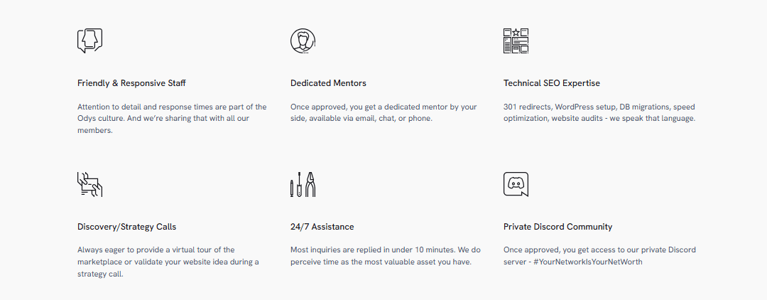 ODYS Global Review: Unlocking the Power of Aged Domains