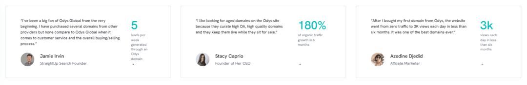 ODYS Global Review: Unlocking the Power of Aged Domains