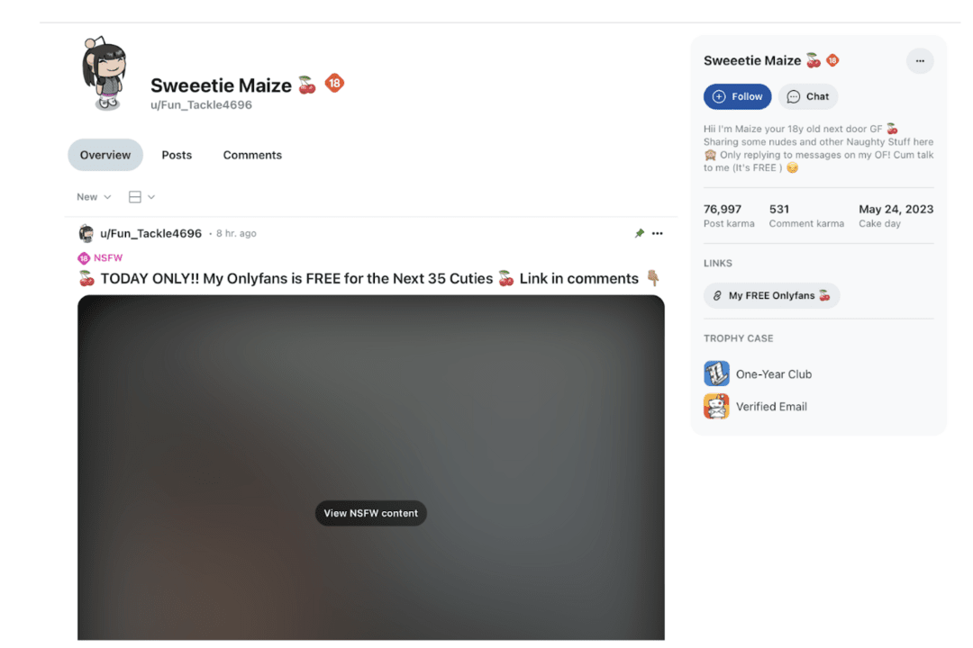 How to Monetize Reddit Traffic for OnlyFans in 2025