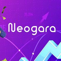 Neogara is dead: An Affiliate Program with Crypto Offers in the Financial Vertical